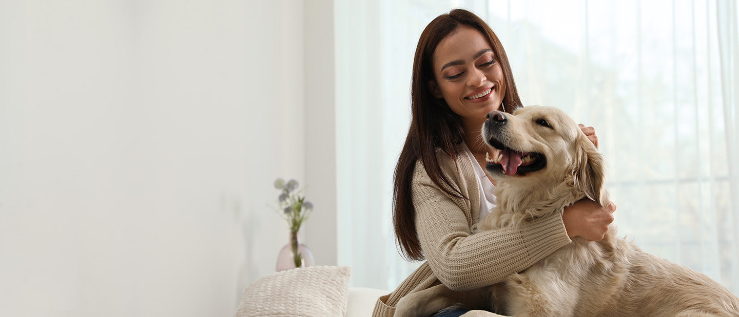 Happy retriever with lady owner