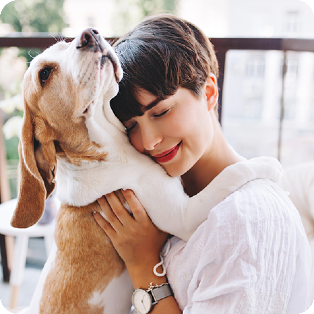Older dog held by lady owner