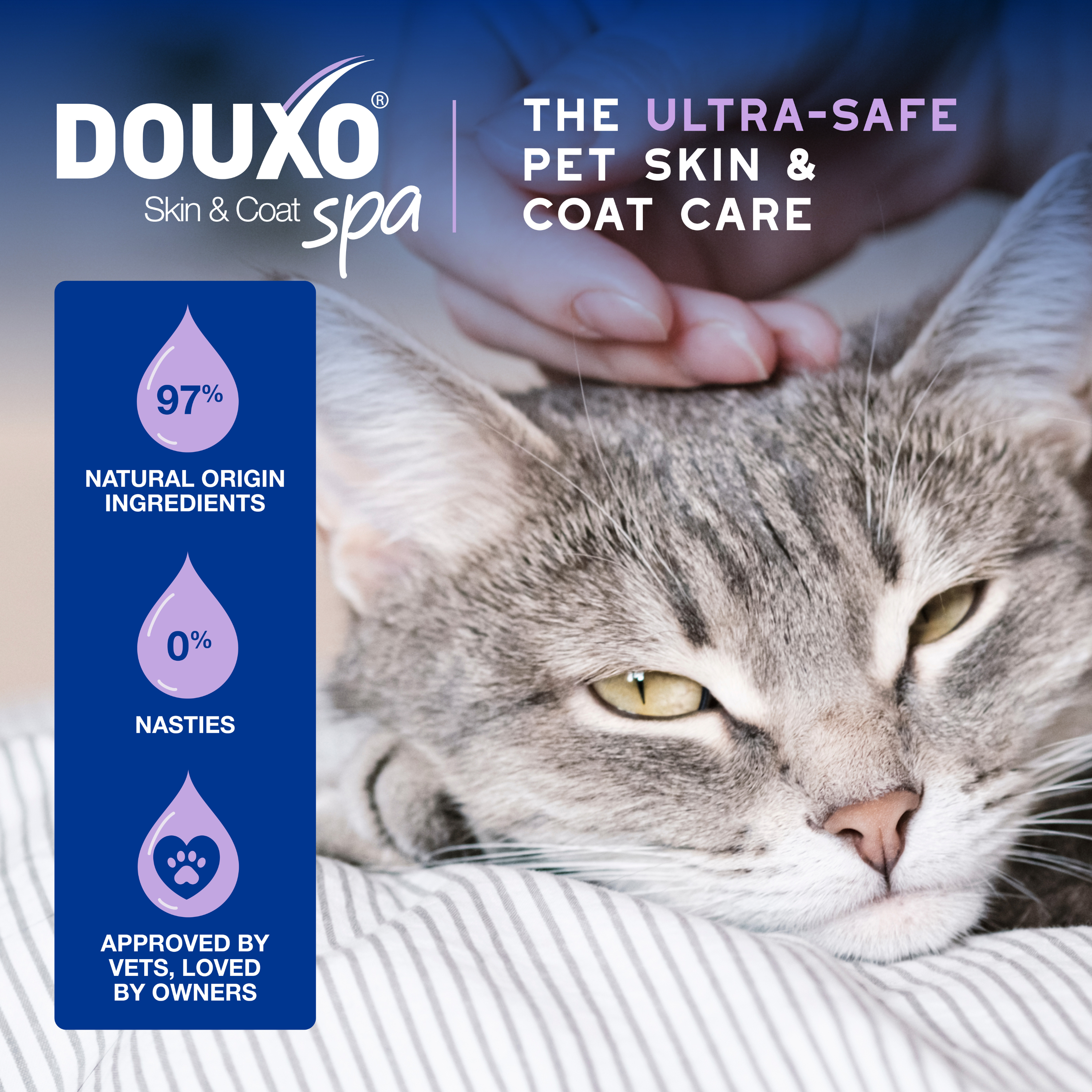 Complete Cat Bundle