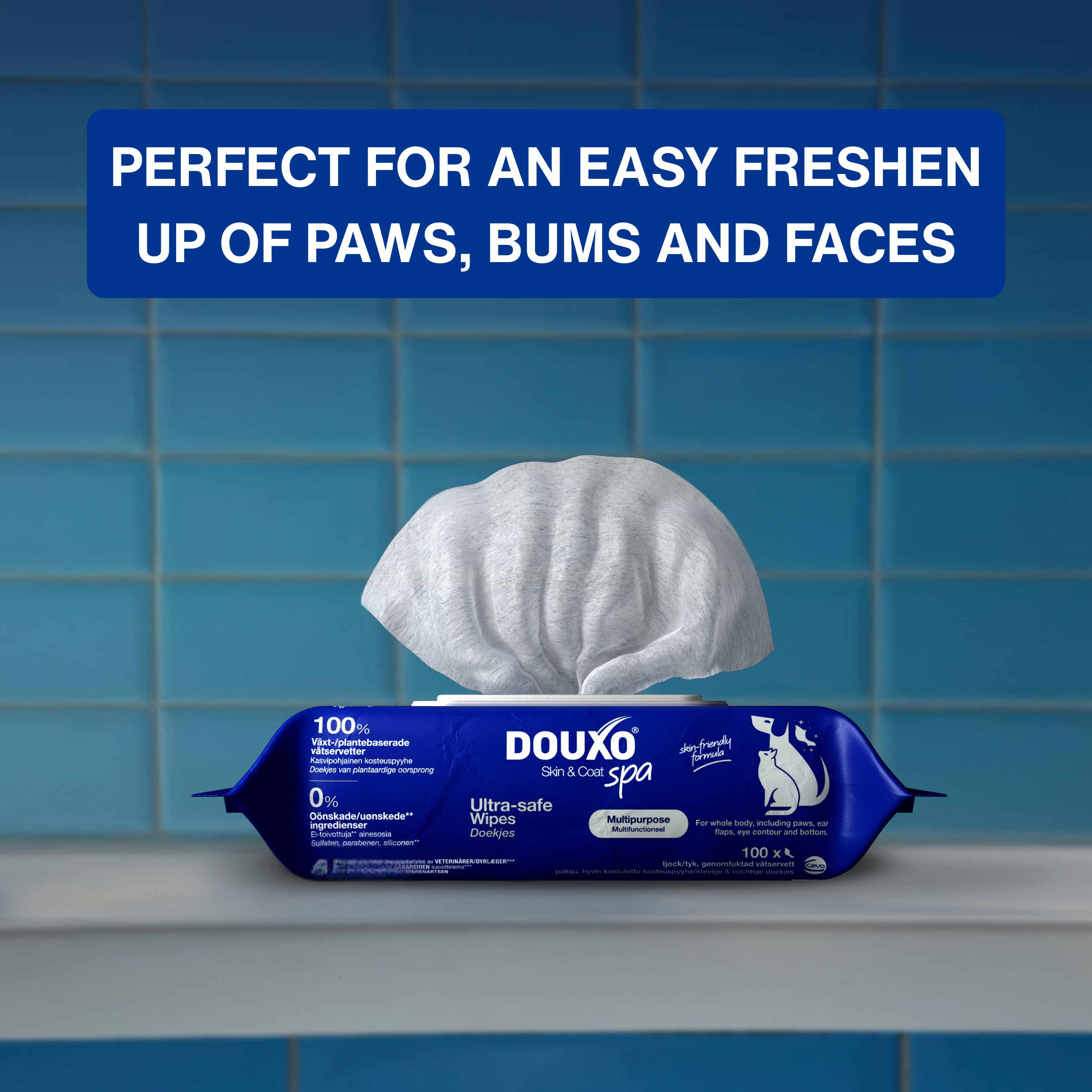 Complete Cat Bundle