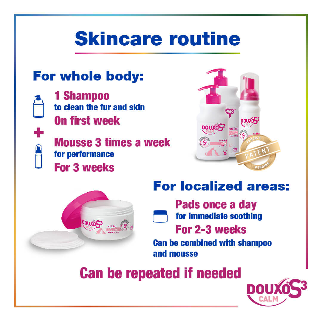 Itch Relief Bundle