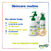 Anti-Dandruff Bundle