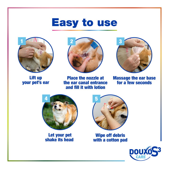 Beautiful view of Ear Care Routine For Dogs After Swimming