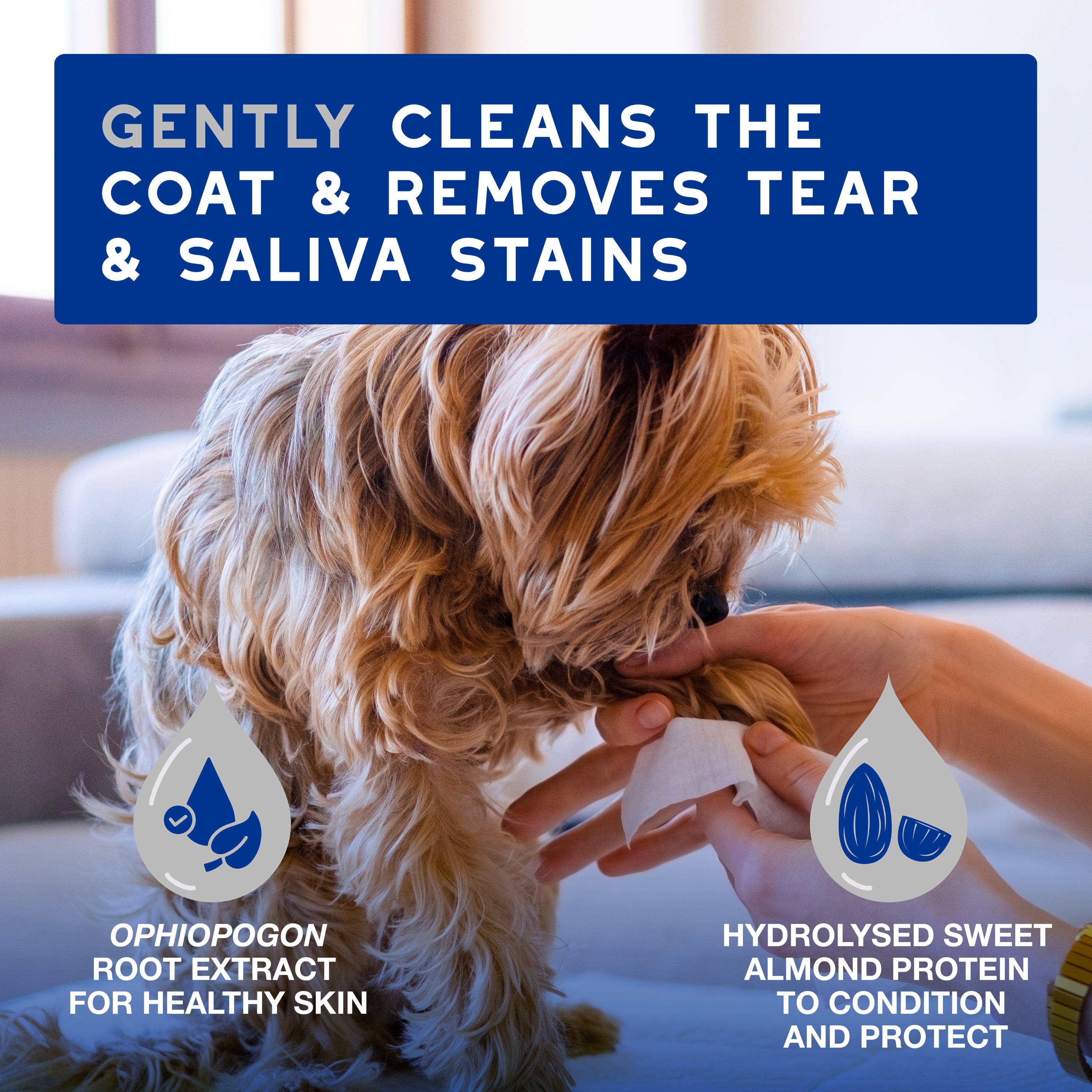 DOUXO® SPA Multipurpose Grooming Wipes