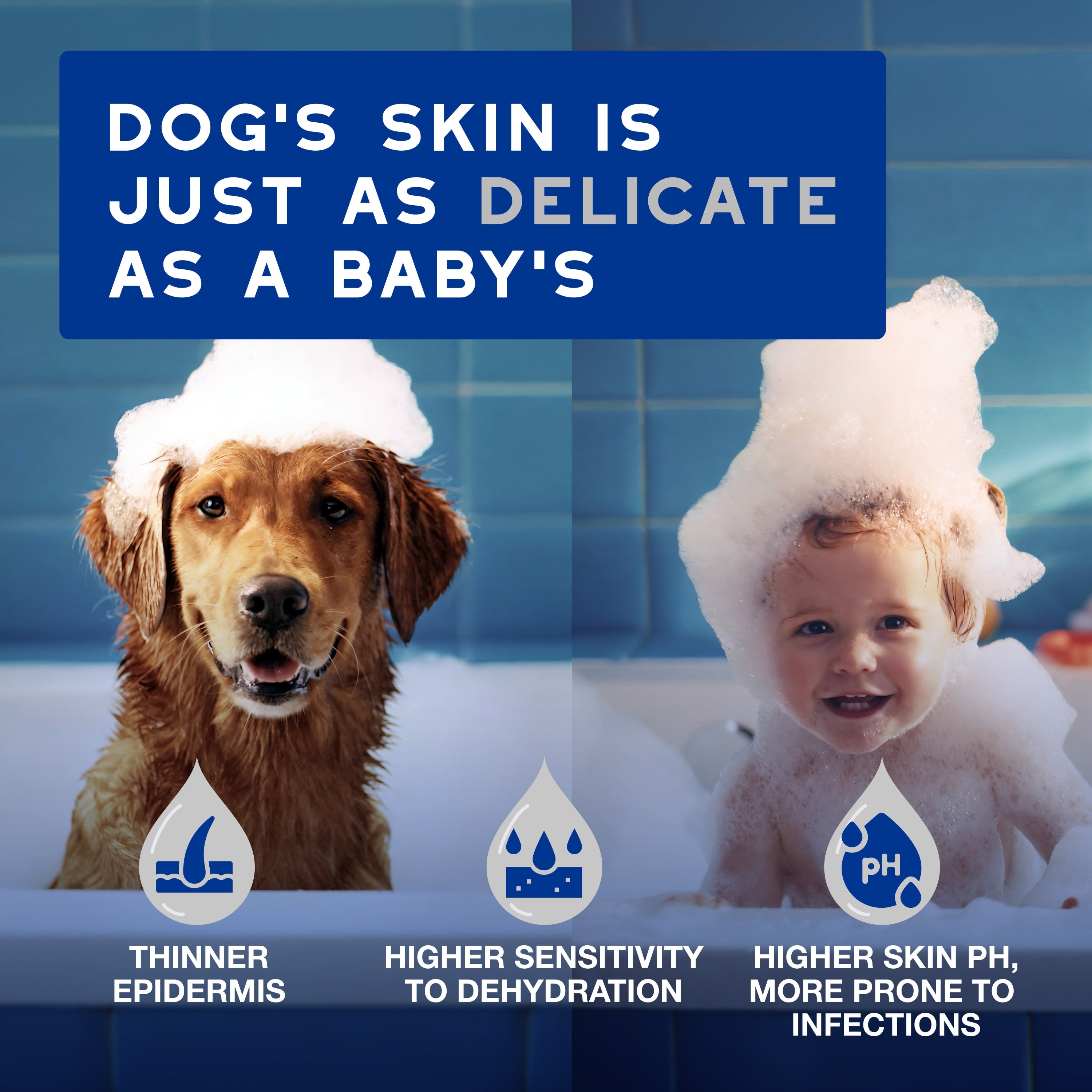 DOUXO® SPA Multipurpose Grooming Wipes