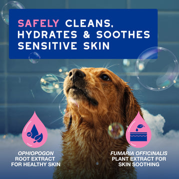 DOUXO® SPA Soothing Shampoo