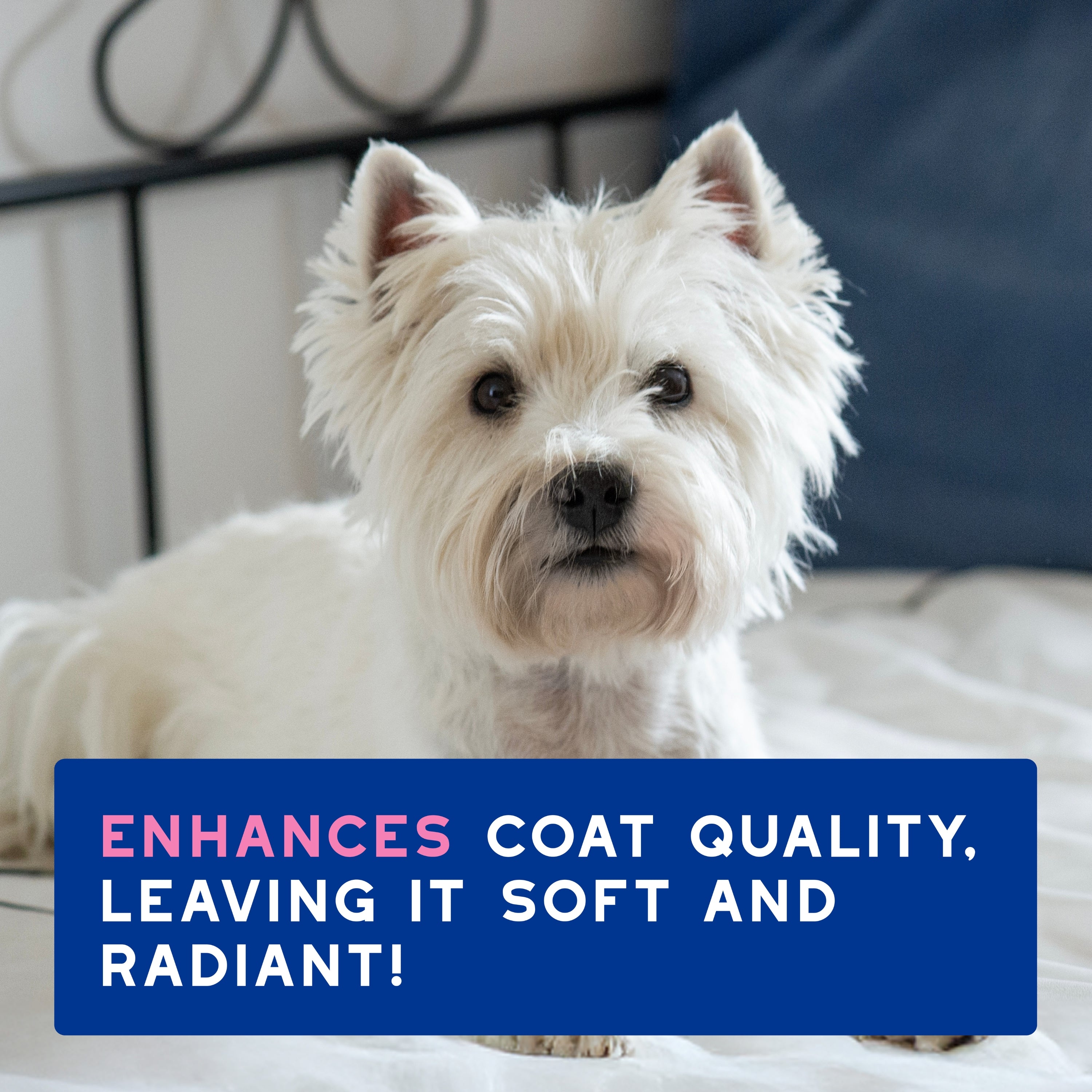 DOUXO® SPA Soothing Shampoo