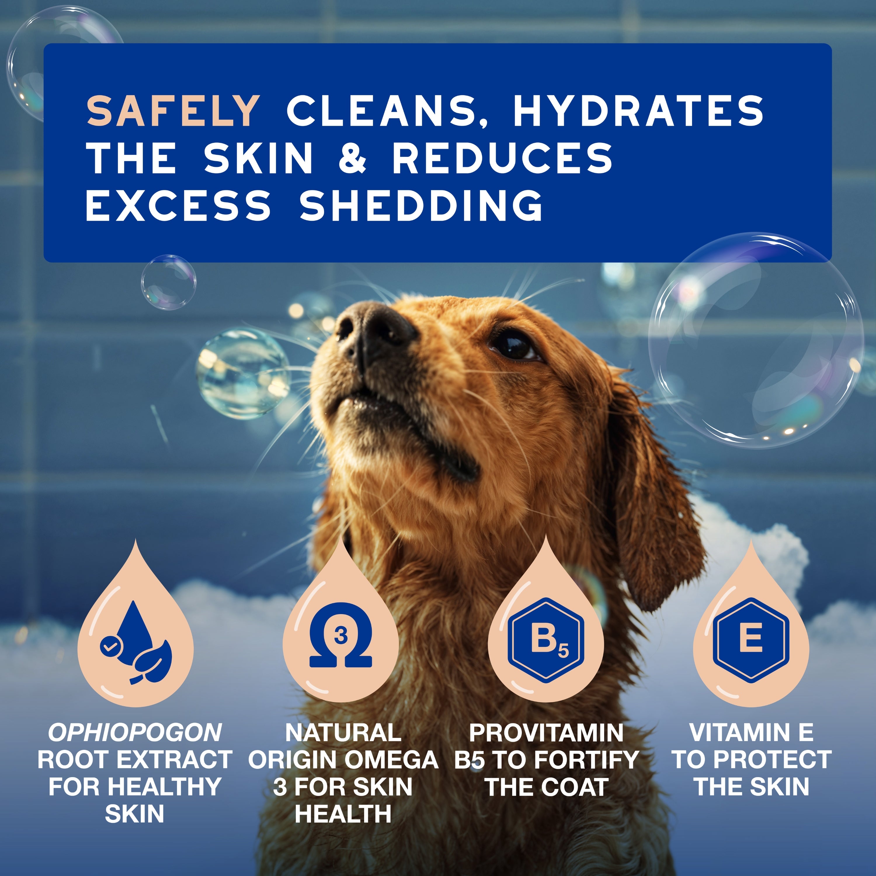 DOUXO® SPA Shed Control Shampoo