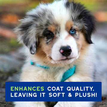DOUXO® SPA Puppy Shampoo