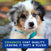 DOUXO® SPA Puppy Shampoo