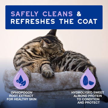 DOUXO® SPA Low-Stress Refresh Cat Mousse
