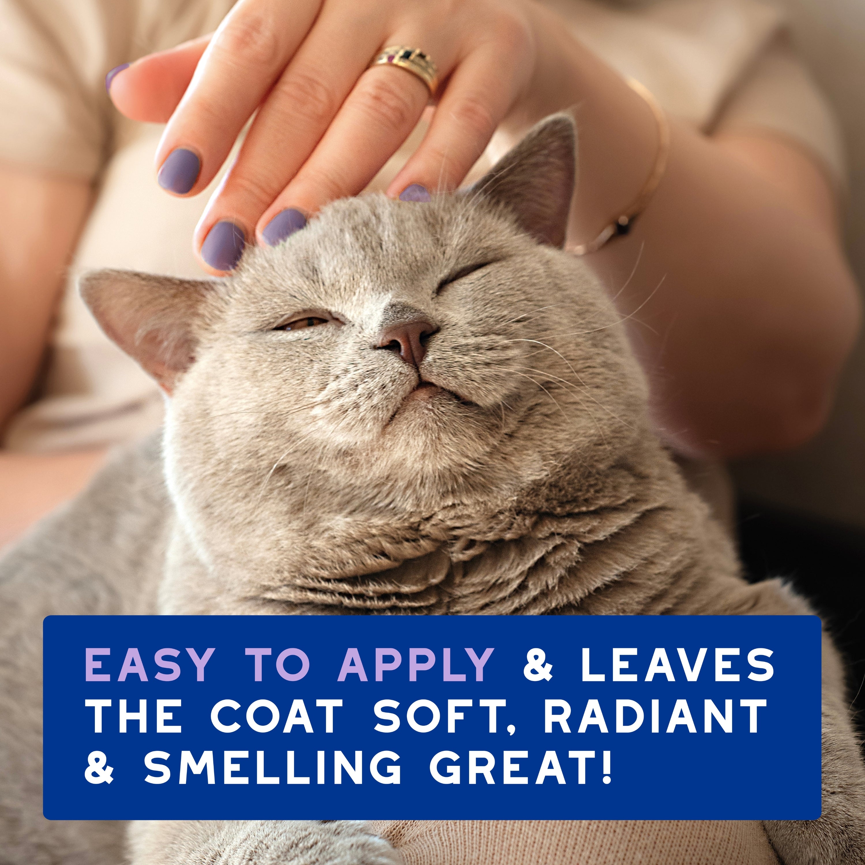 DOUXO® SPA Low-Stress Refresh Cat Mousse