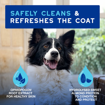 DOUXO® SPA Quick Refresh Dog Mousse