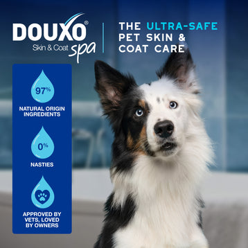 DOUXO® SPA Quick Refresh Dog Mousse