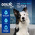 DOUXO® SPA Quick Refresh Dog Mousse