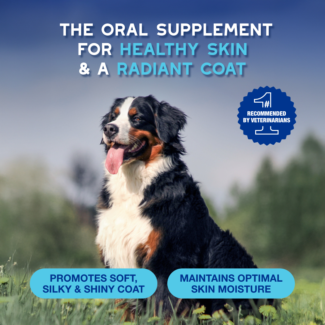 DOUXO® SPA Skin Health+ Soft Chews