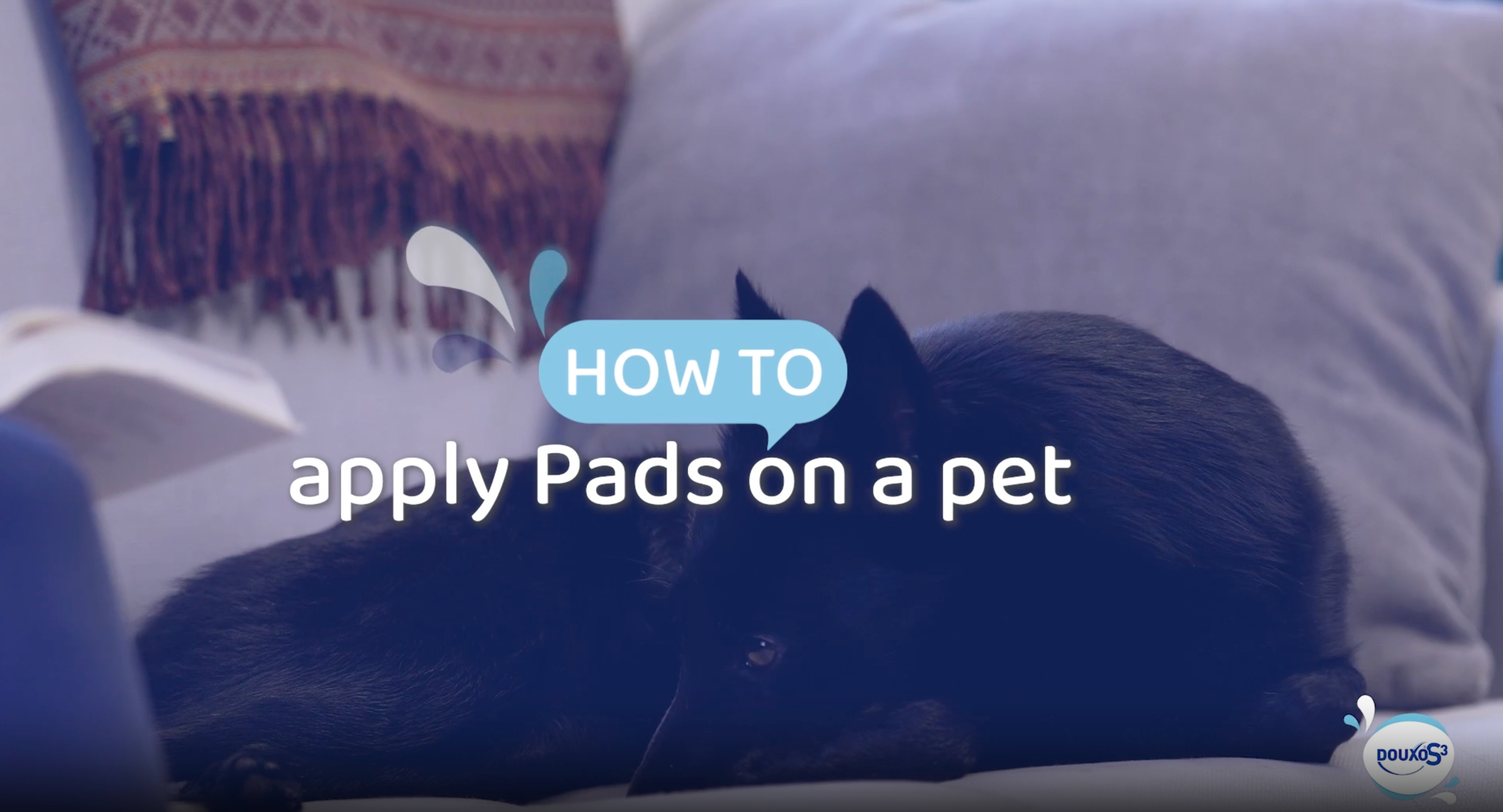 DOUXO S3 PYO Pads – Pads for Cat and Dog Bacterial Skin Infections