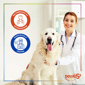 Complete Antibacterial, Antifungal Bundle